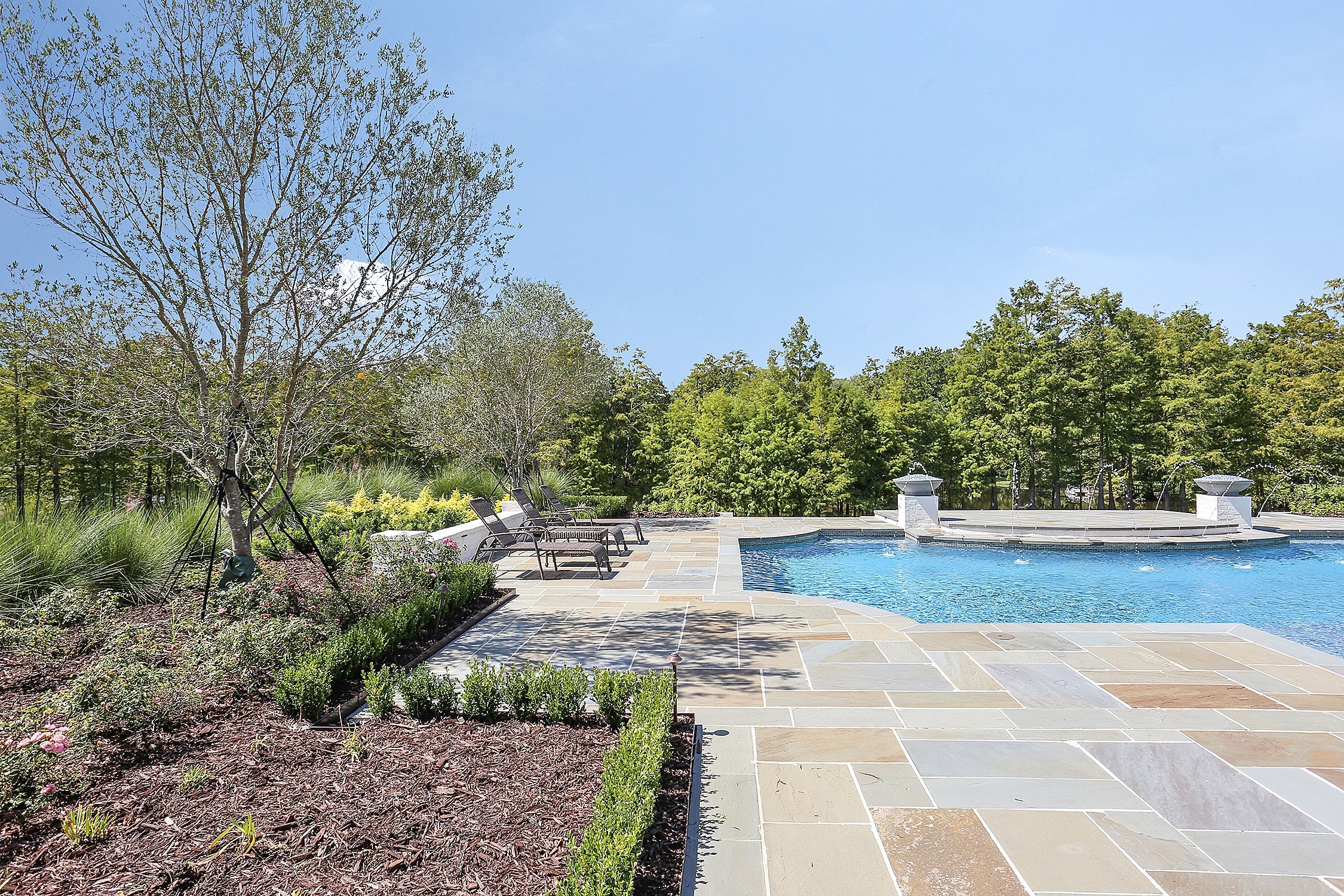 pool decking and landscape